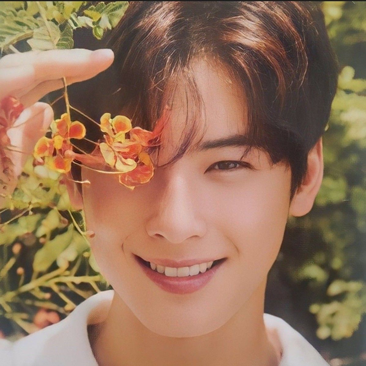 车银优的幕后花絮