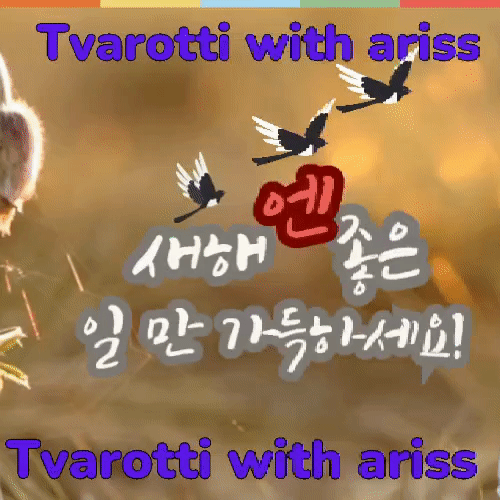 金浩中的幕後花絮