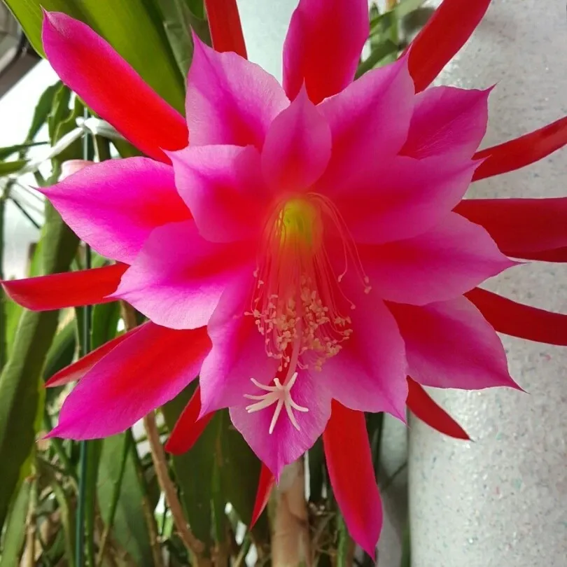 李灿元的幕后花絮