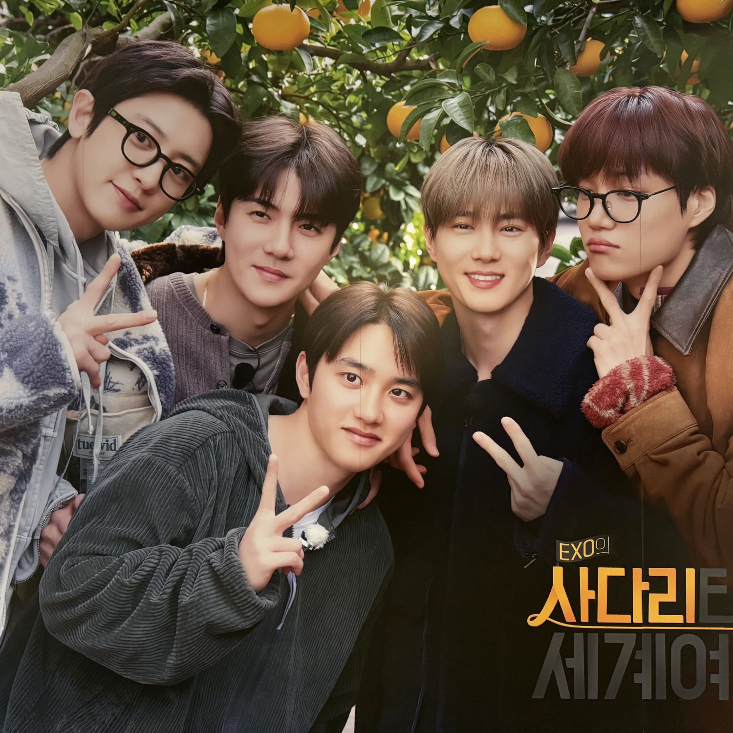 都暻秀 (D.O.)的最新照片