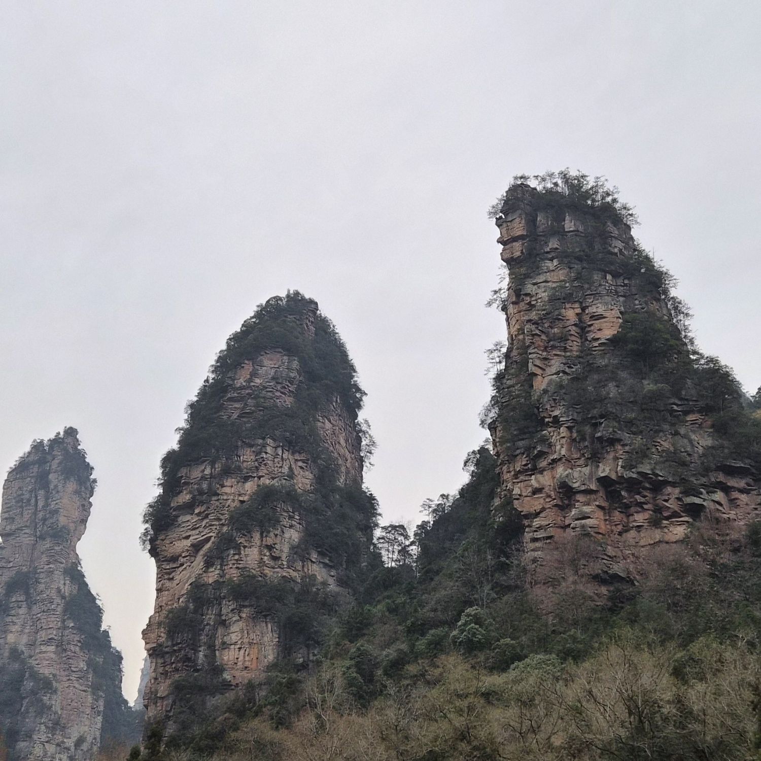 粉丝拍下的金浩中瞬间