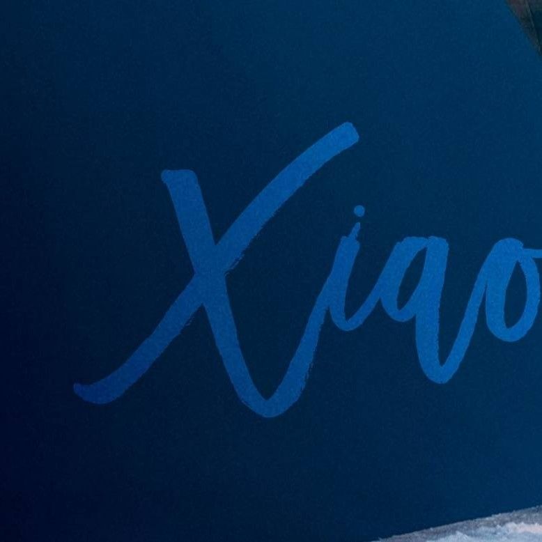 Recent activity shot of Xiao Zhan