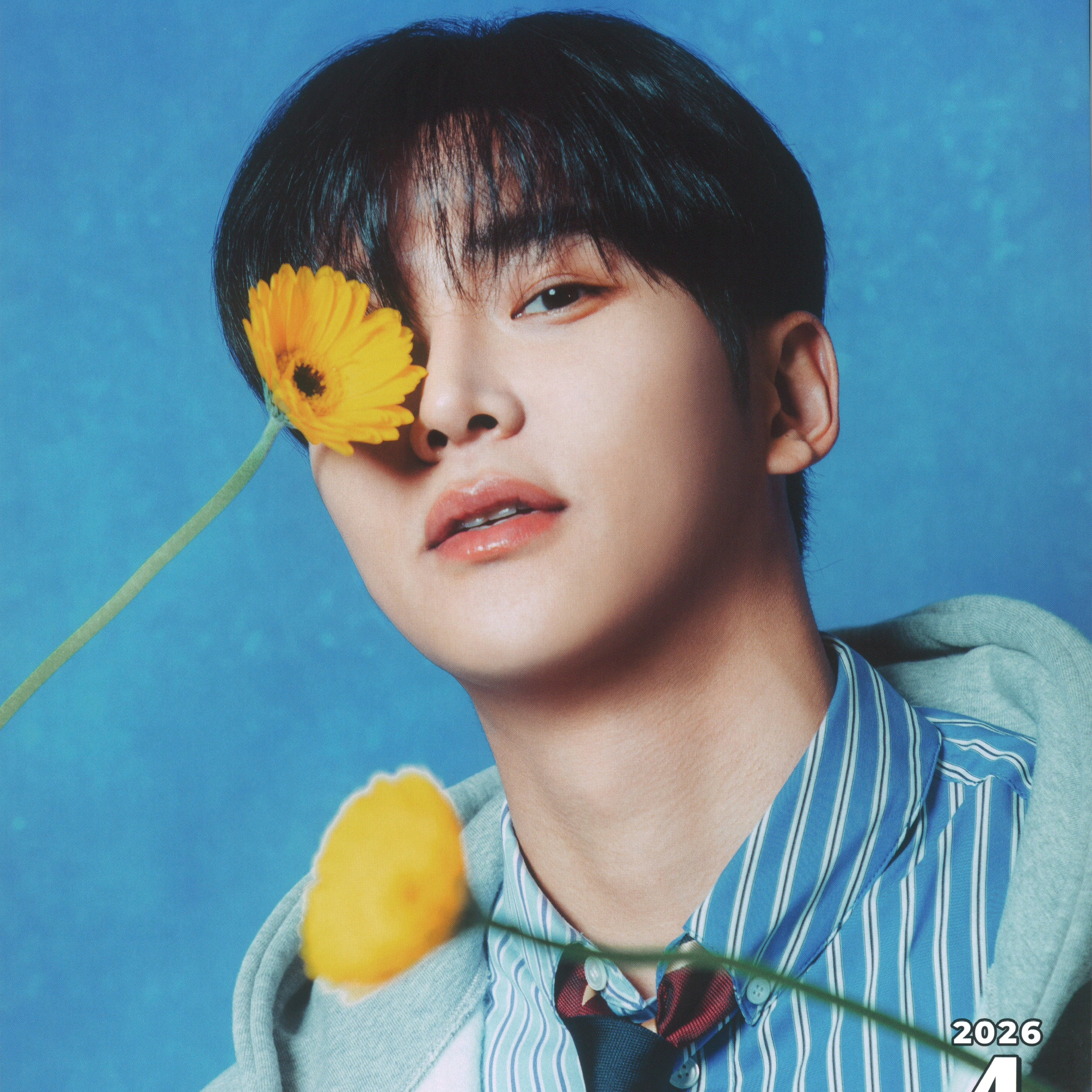 路云的最新照片