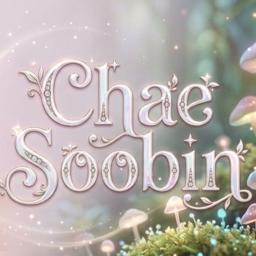 A moment captured by a fan of Chae Soobin