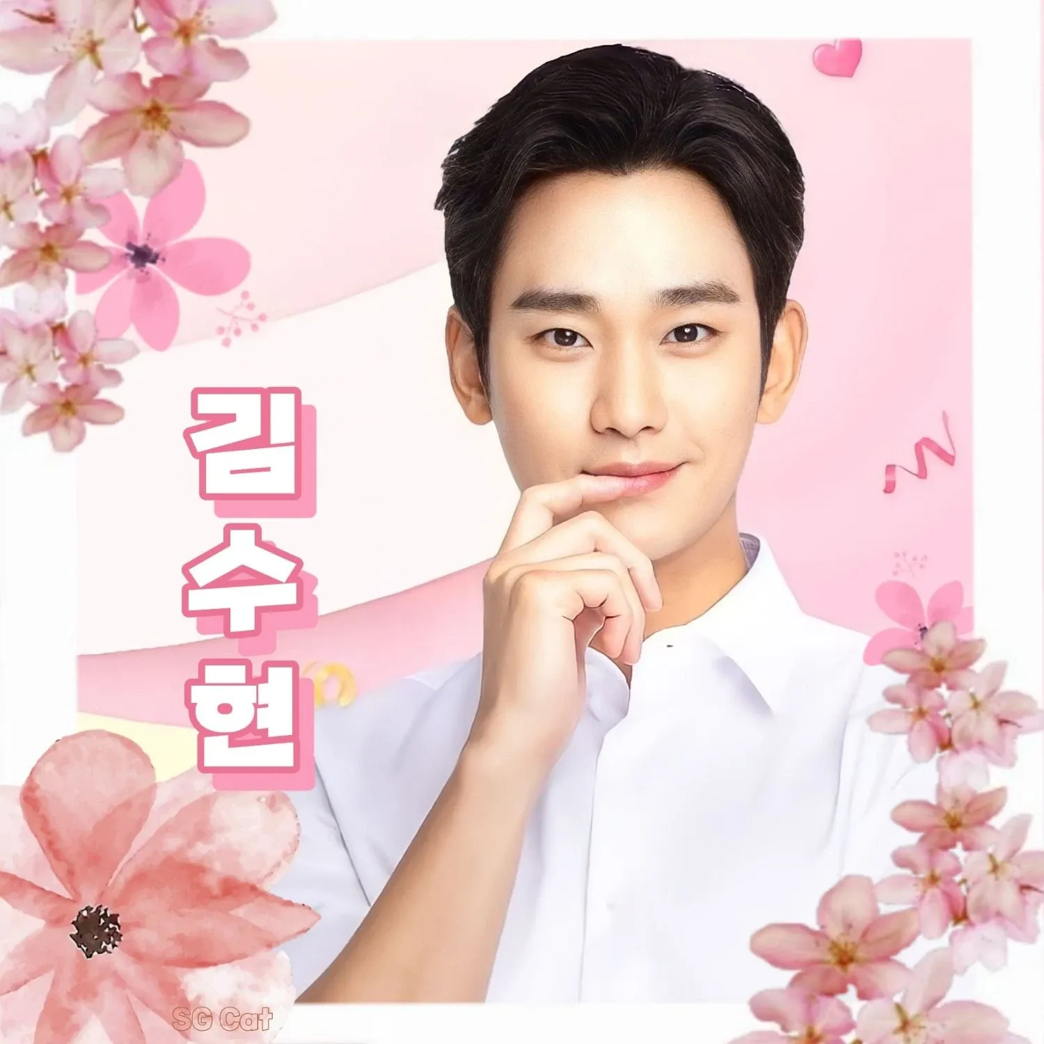 Behind-the-scenes cut of Kim Soohyun