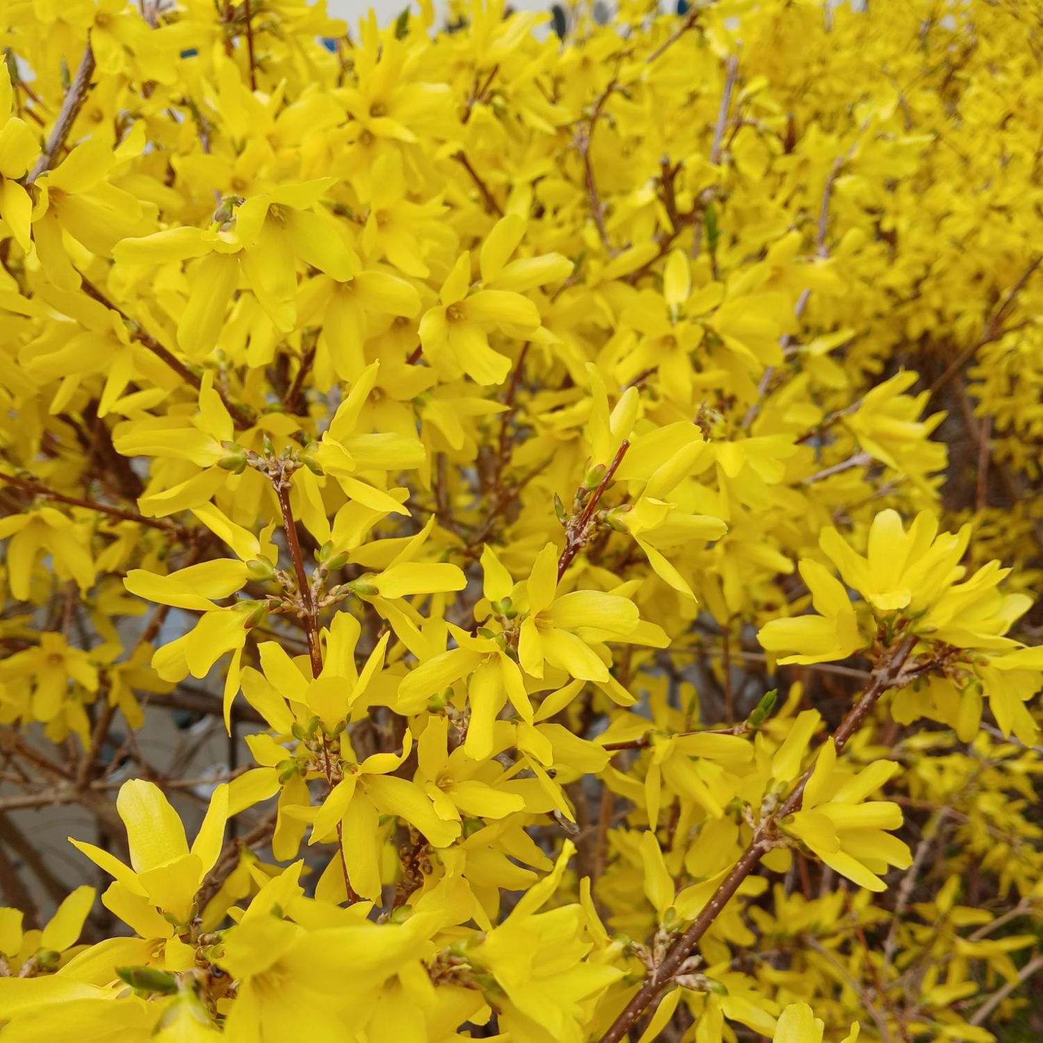 朴瑞鎮的幕後花絮