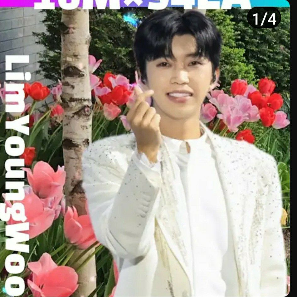 林英雄的最新照片