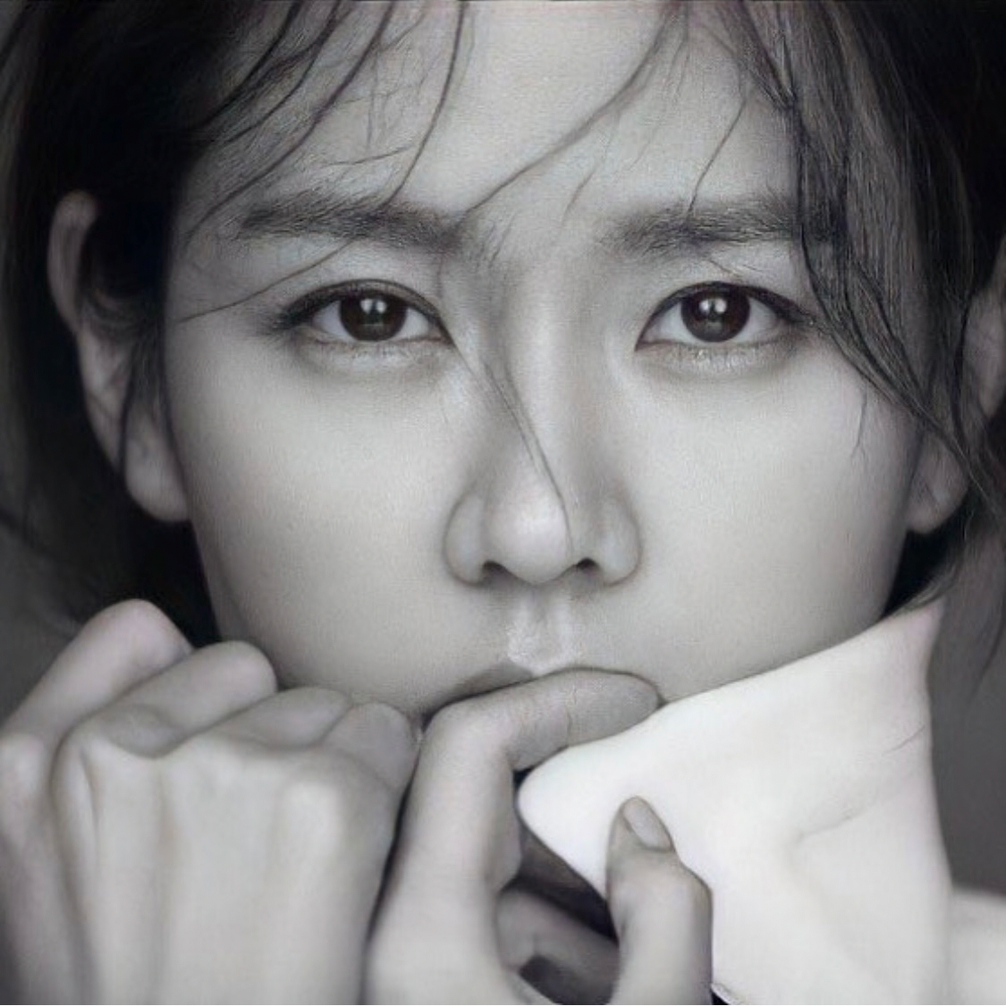 손예진 팬이 찍은 순간