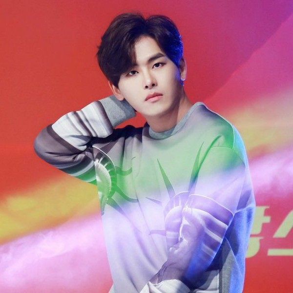 A moment captured by a fan of Hoya