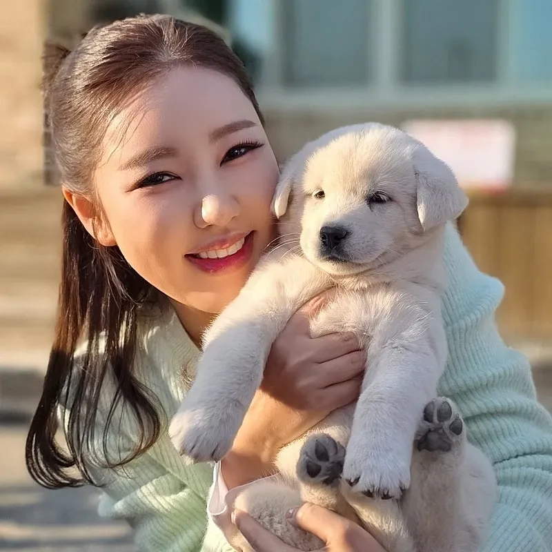 김도영 최근 활동샷