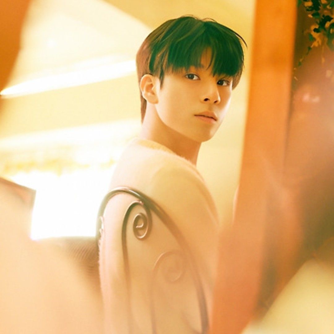 郑东元的近期活动照