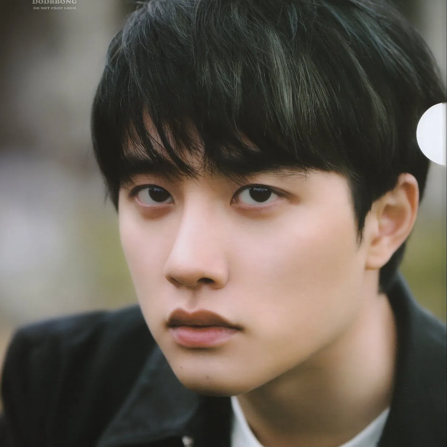 도경수 (디오) 팬이 찍은 순간