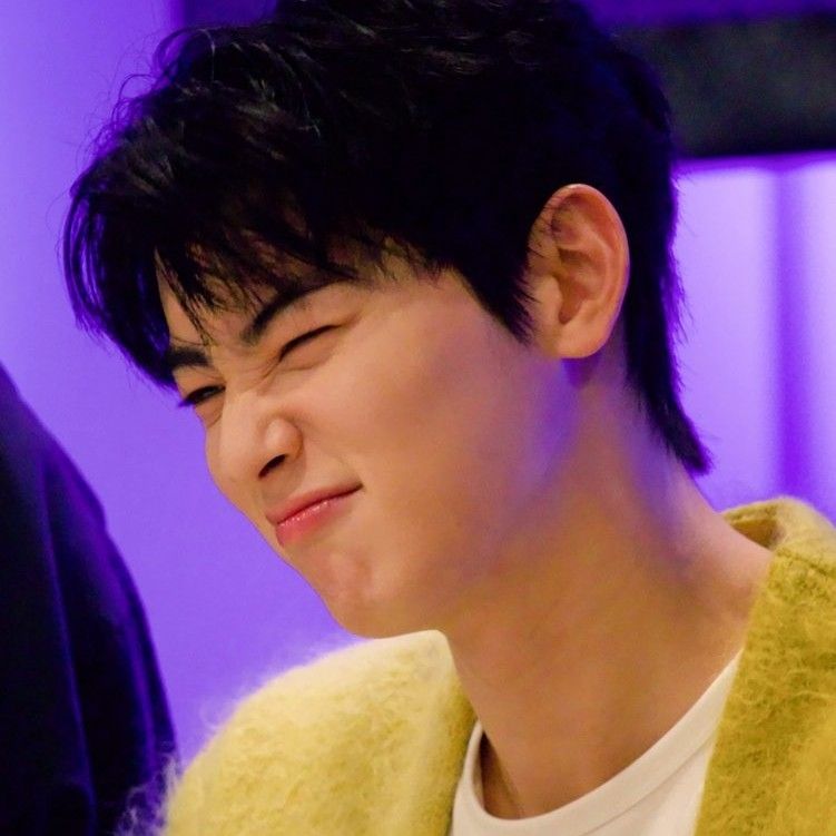 ファンが撮影したチャ・ウヌの瞬間