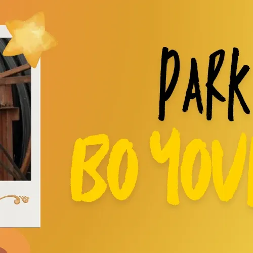 Recent activity shot of Park Boyoung