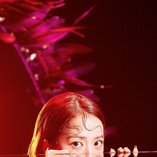 A moment captured by a fan of Jisoo (1995)