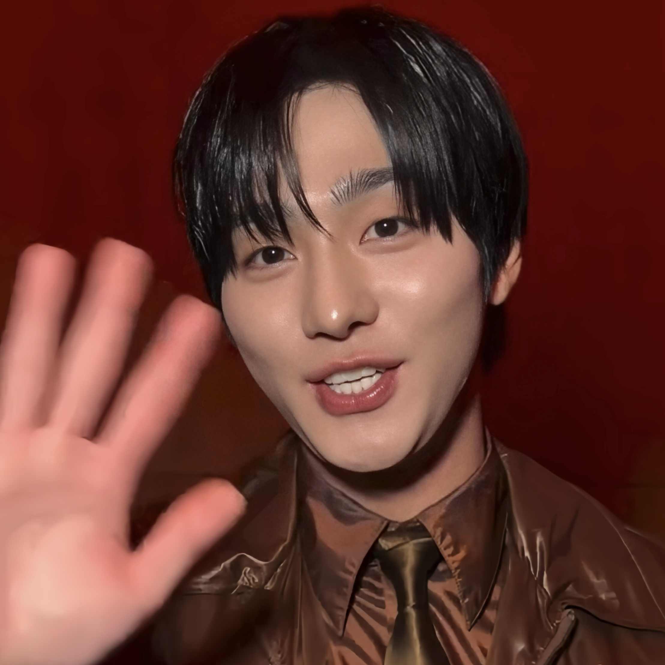 安孝燮的最新照片