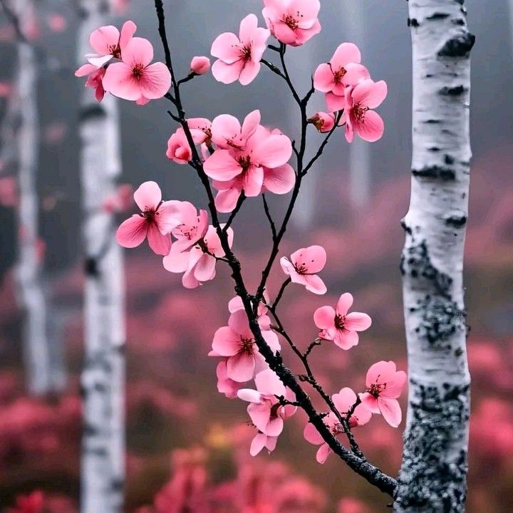 ド・ギョンス (ディオ)の最近の活動ショット