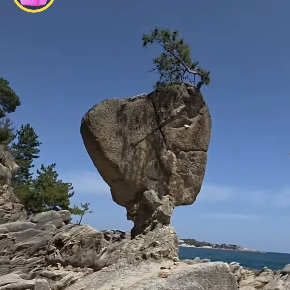 粉丝拍下的李灿元瞬间