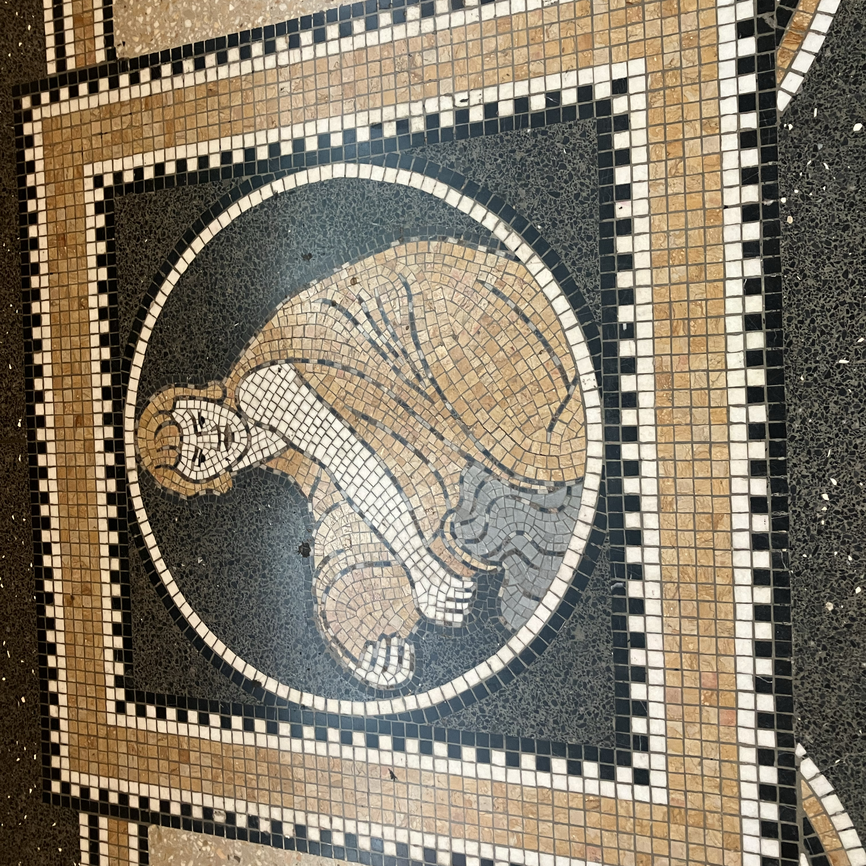 Cuplikan di balik layar dari Kim Goeun