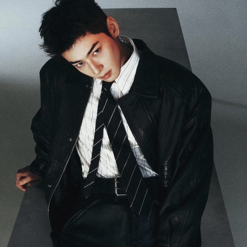 Recent activity shot of Cha Eunwoo