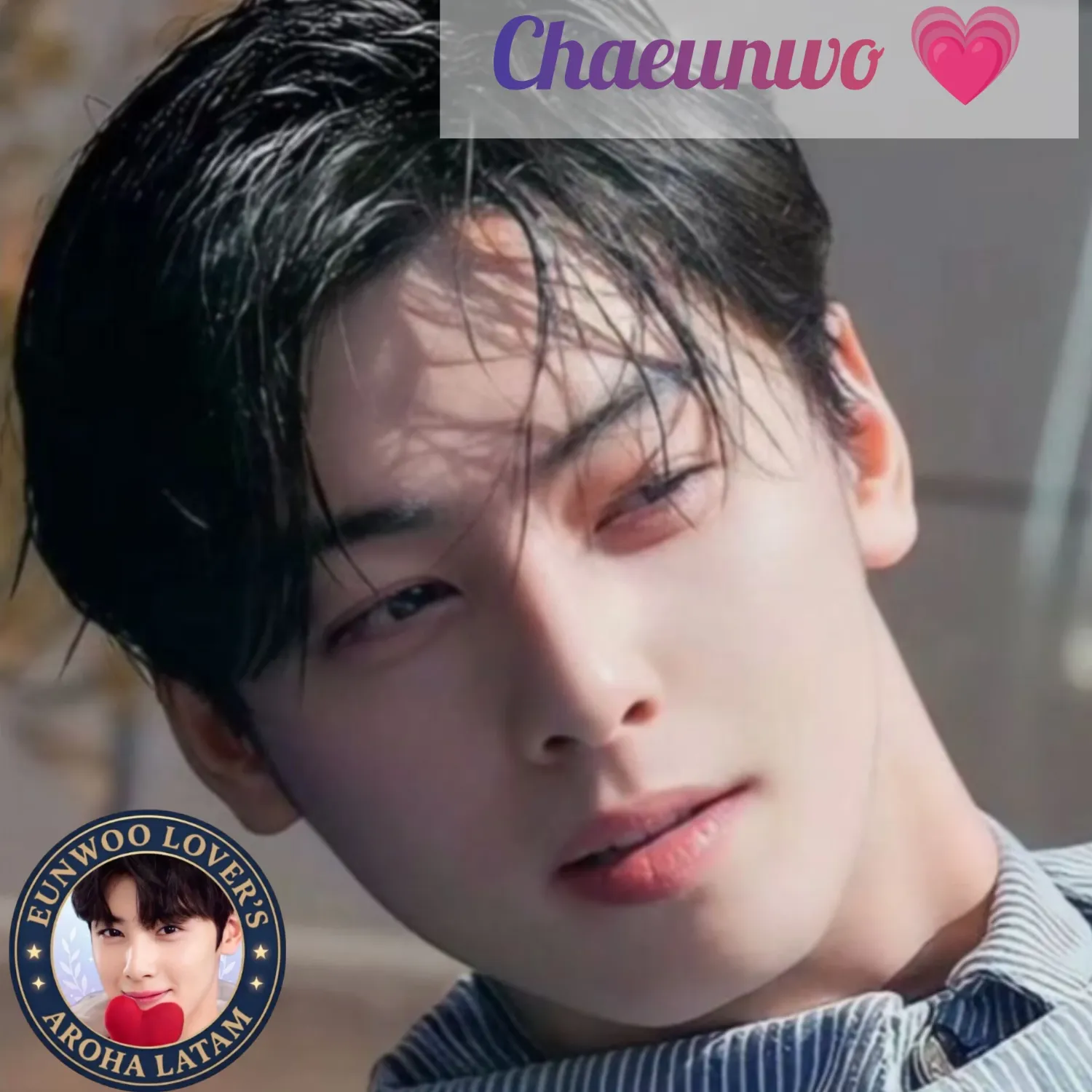 Recent activity shot of Cha Eunwoo