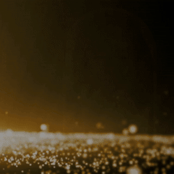 宋智孝的近期活动照