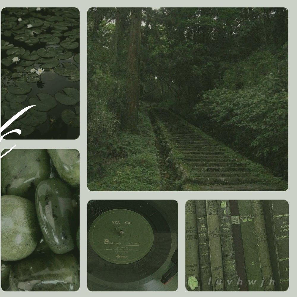 A moment captured by a fan of Choi Hyunwook