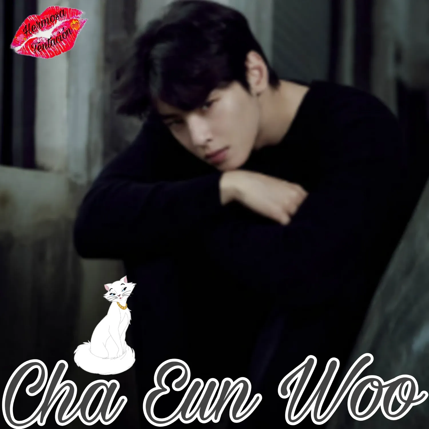 A moment captured by a fan of Cha Eunwoo
