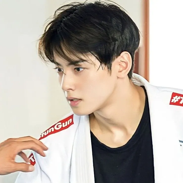 粉絲拍下的車銀優瞬間