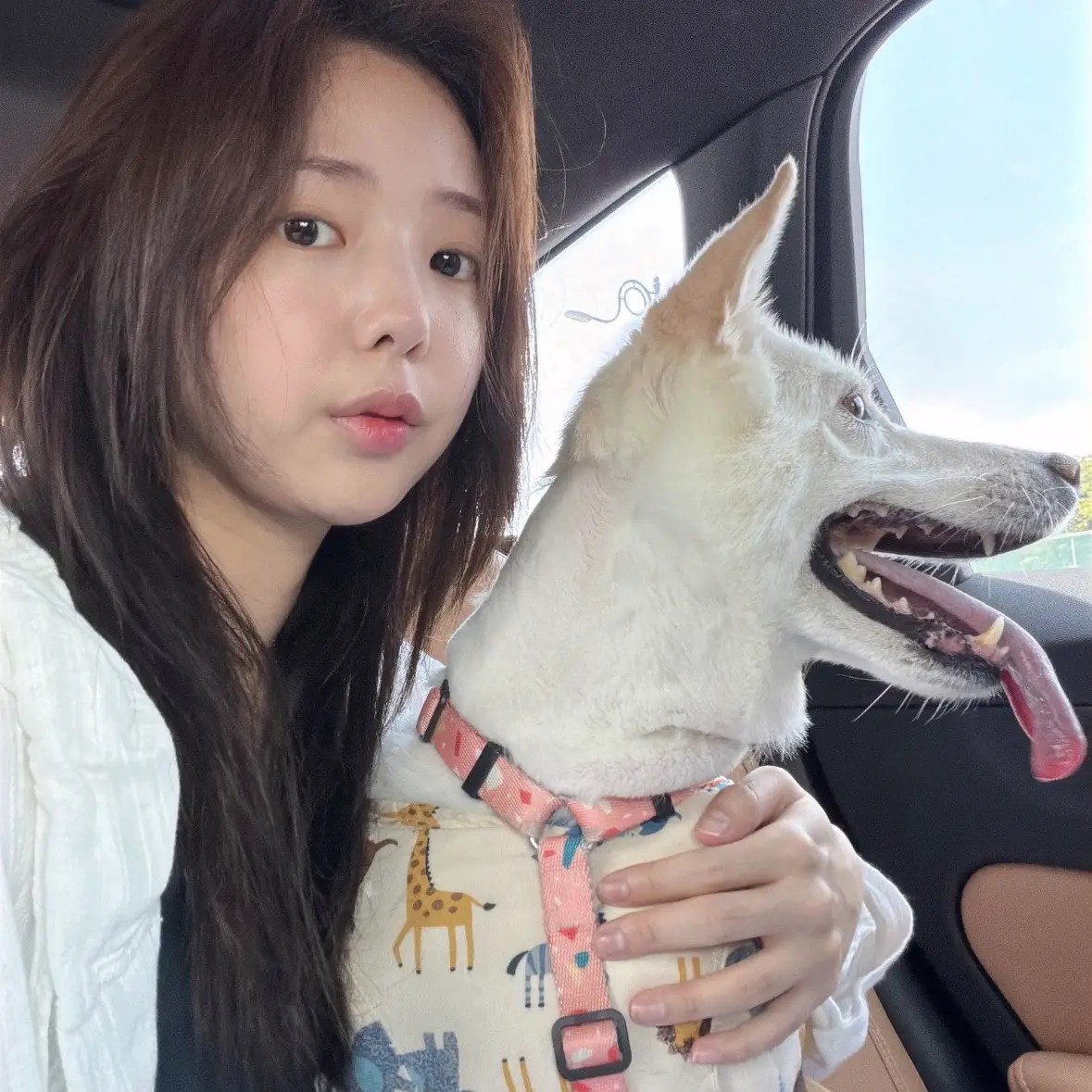 Recent activity shot of Chae Soobin