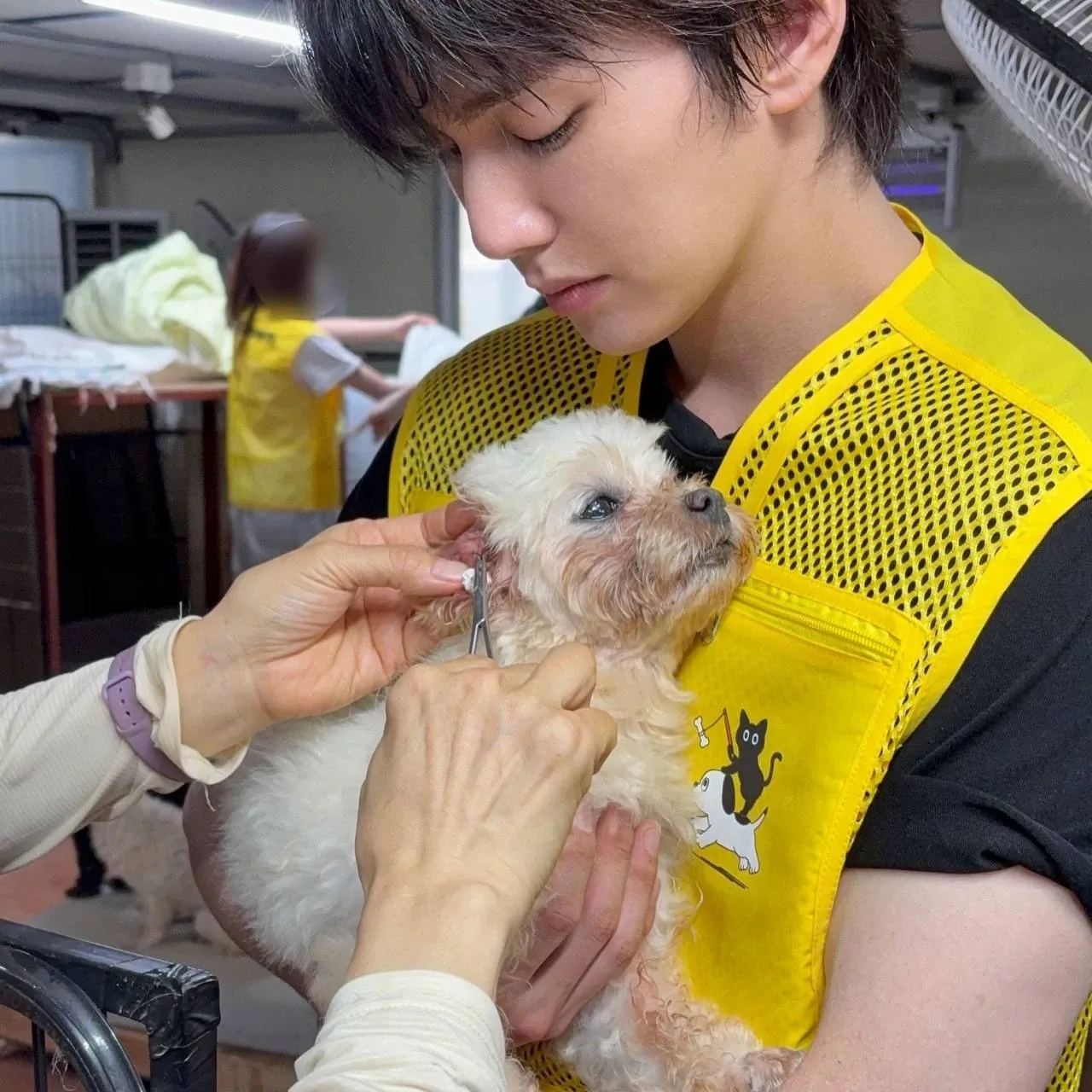 Behind-the-scenes cut of Yoo Seungho
