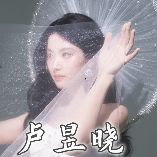 A moment captured by a fan of Lu Yuxiao