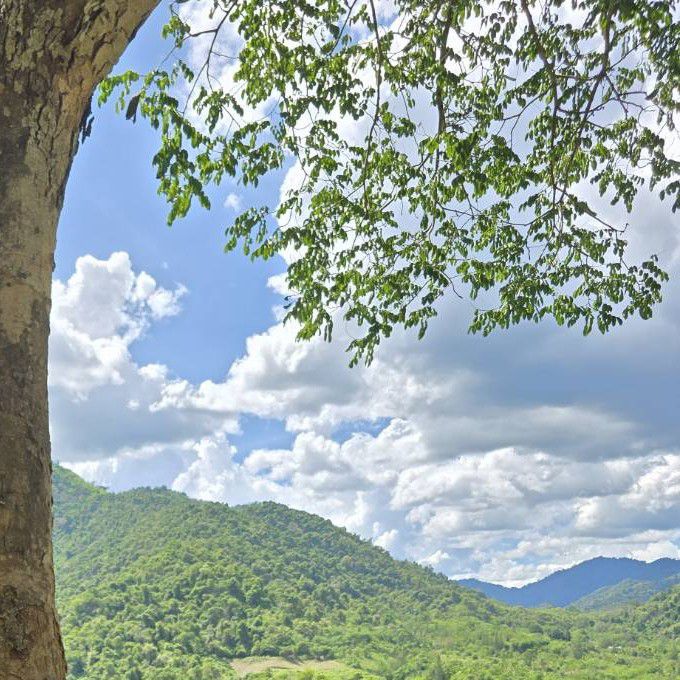 Latest photo of Dahyun