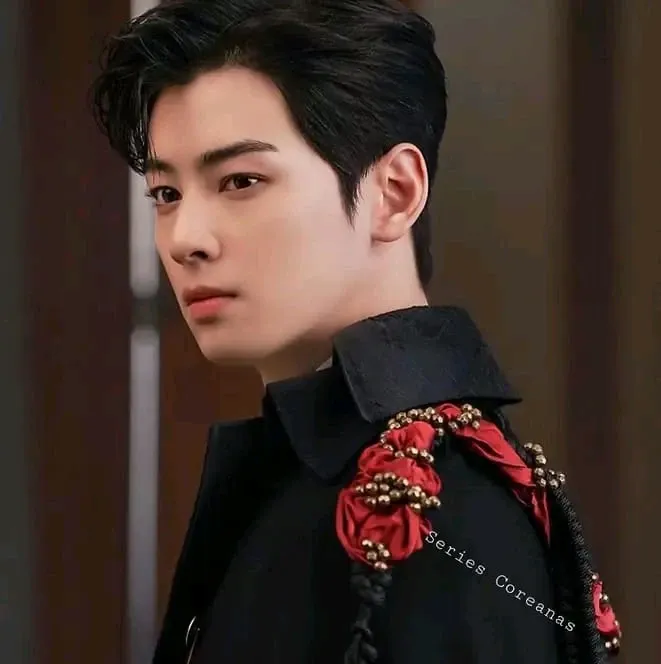A moment captured by a fan of Cha Eunwoo