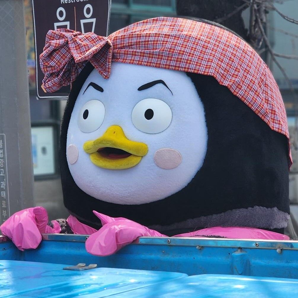 朋秀的最新照片