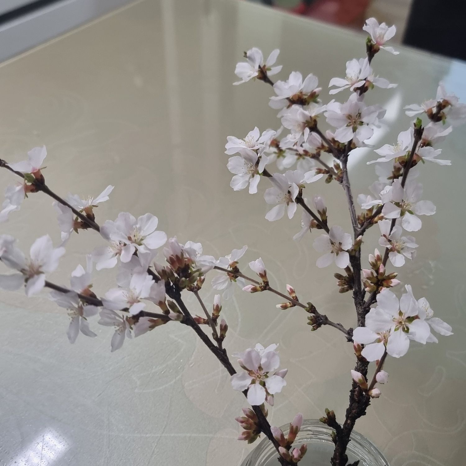 キム・ホジュンの最新写真