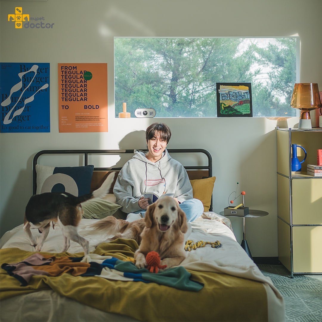 Recent activity shot of Lee Minho