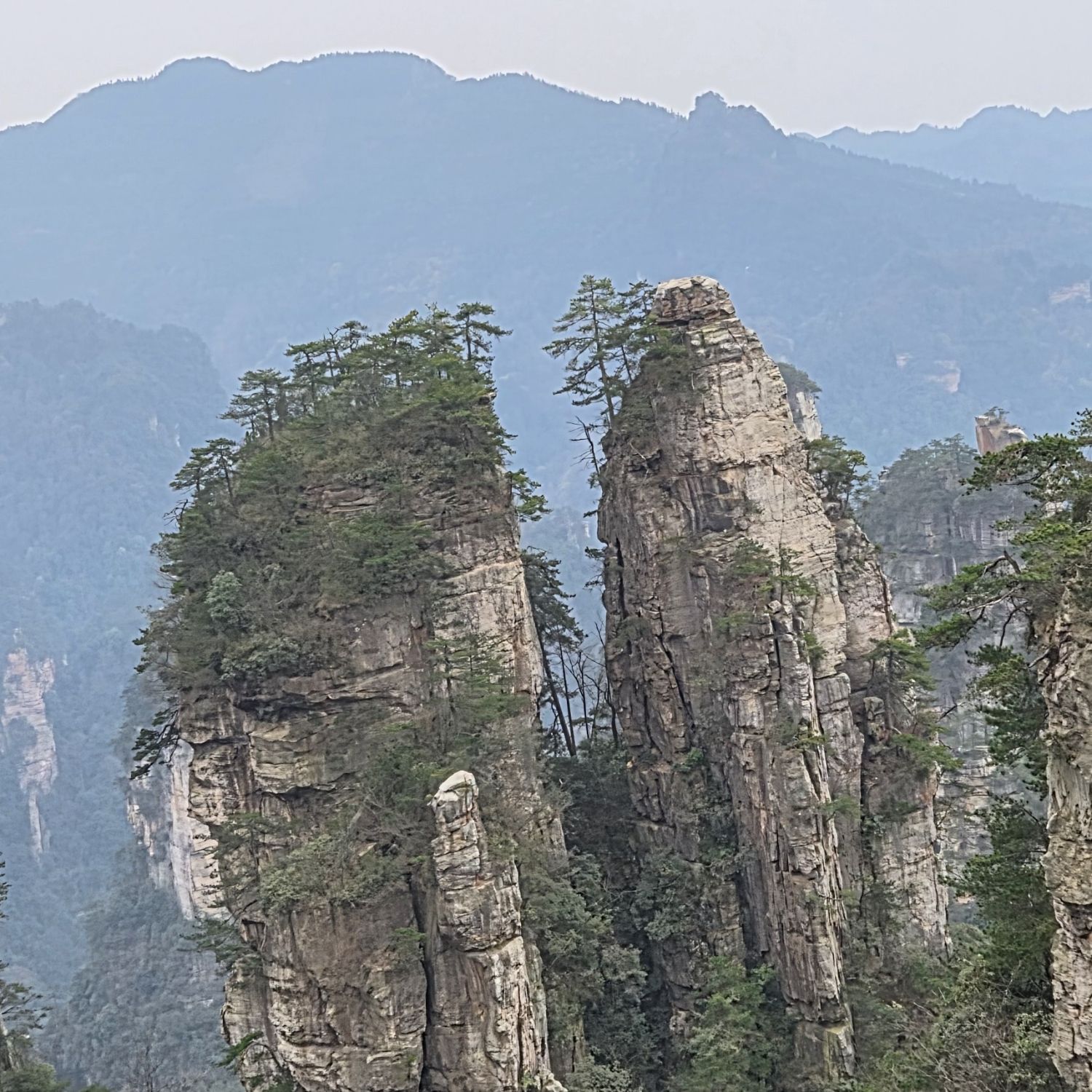 金浩中的近期活動照