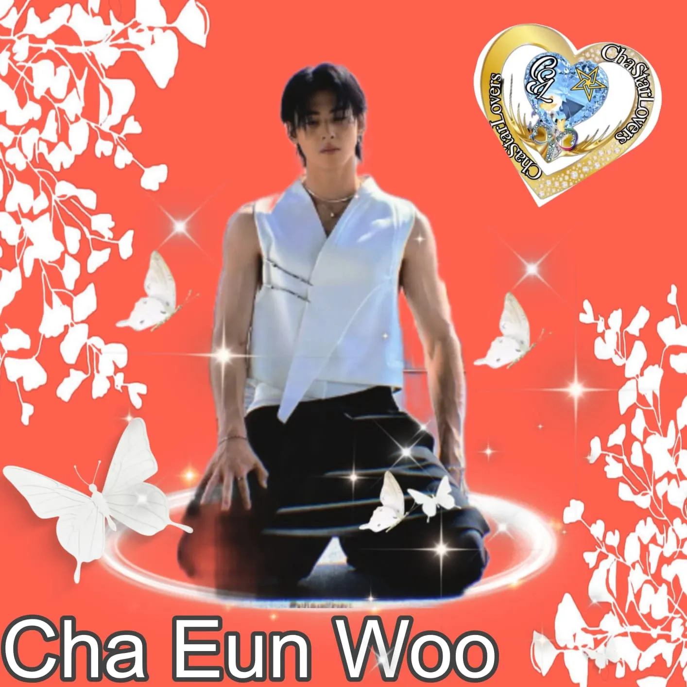A moment captured by a fan of Cha Eunwoo