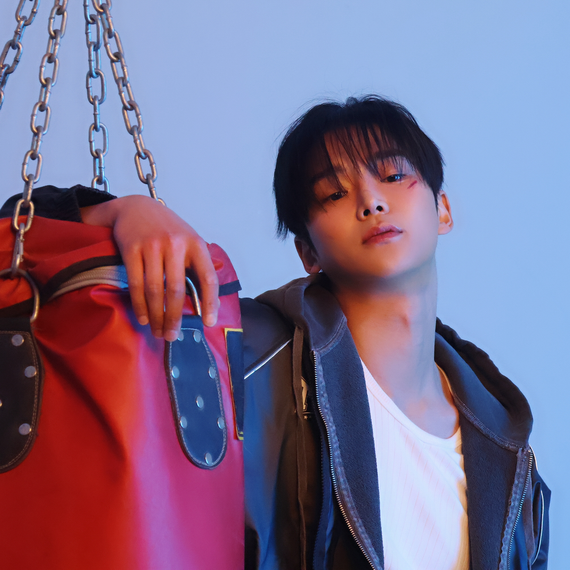 로운 최근 활동샷