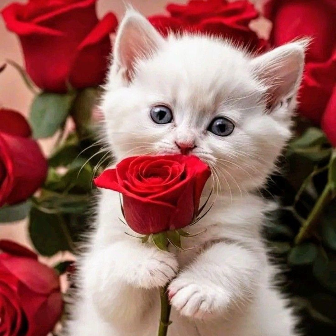 Latest photo of Lee Joongi