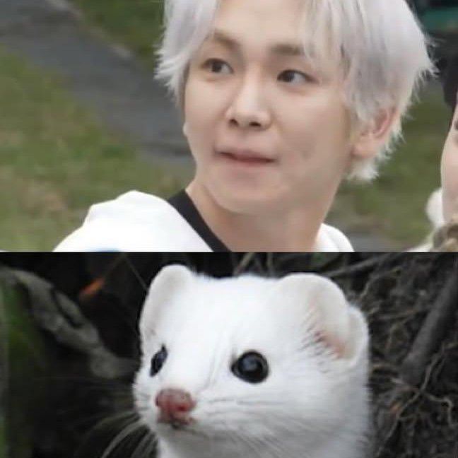 A moment captured by a fan of Key