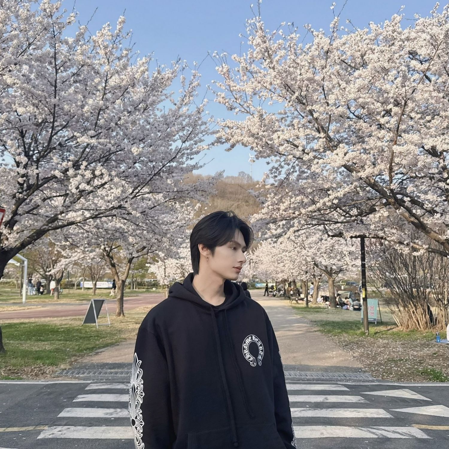 Latest photo of Wen Junhui