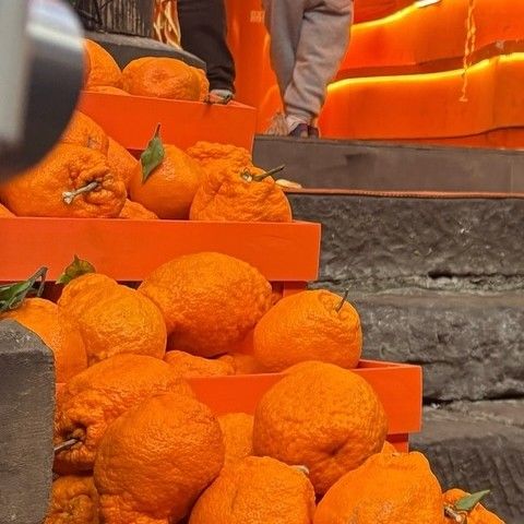 Behind-the-scenes cut of Bona