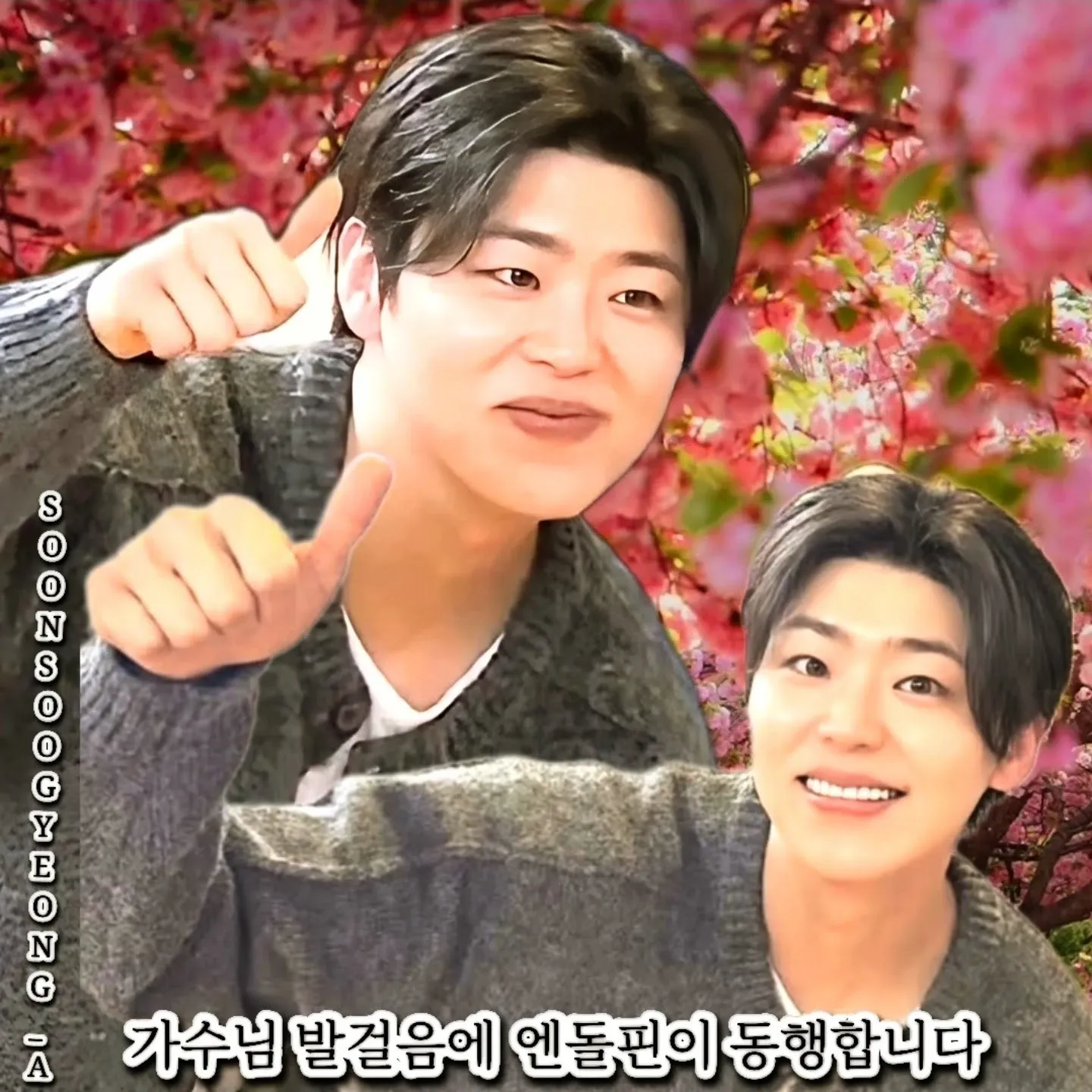 최애돌셀럽 커뮤니티 인기 폭발 포스트