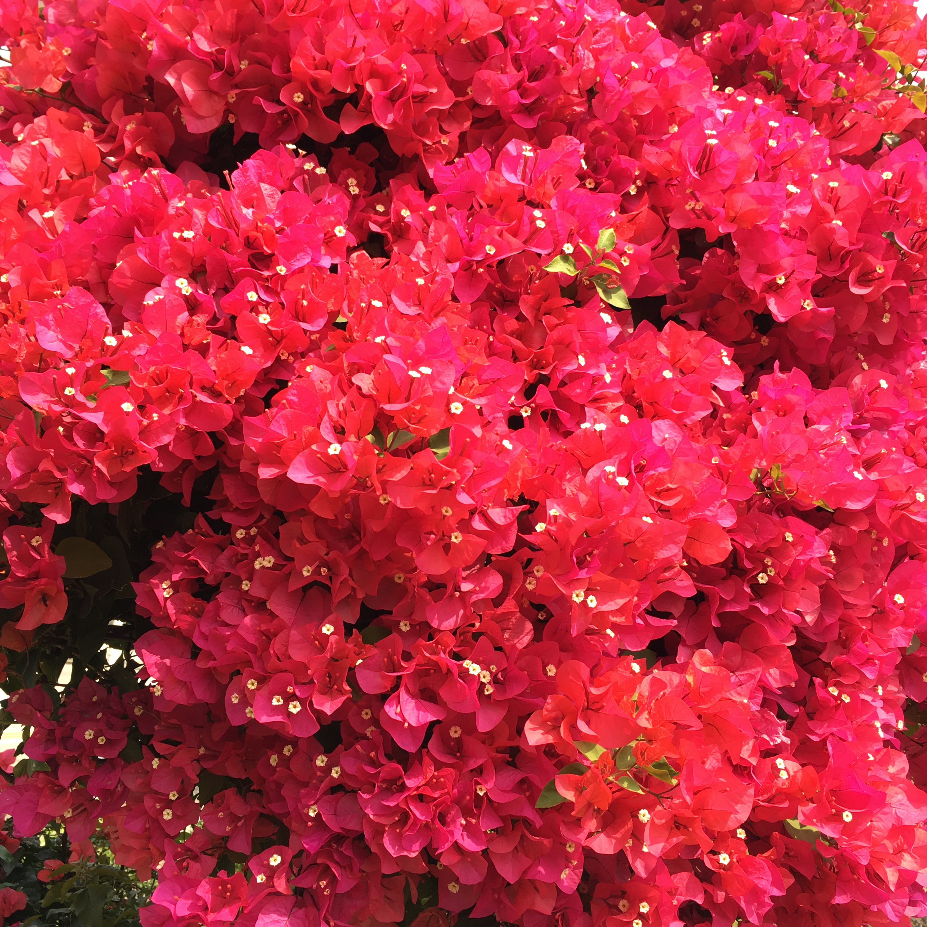 Cuplikan di balik layar dari Kim Goeun