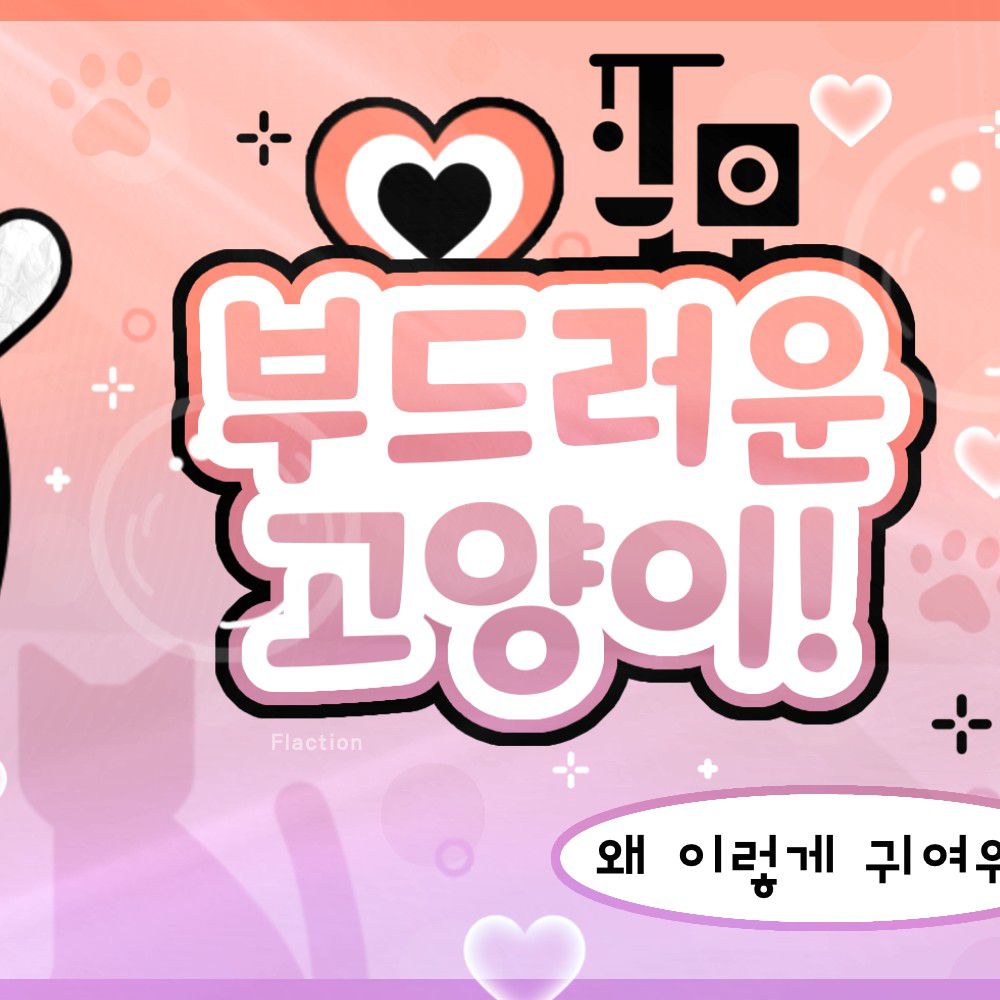 김세정의 최신 사진