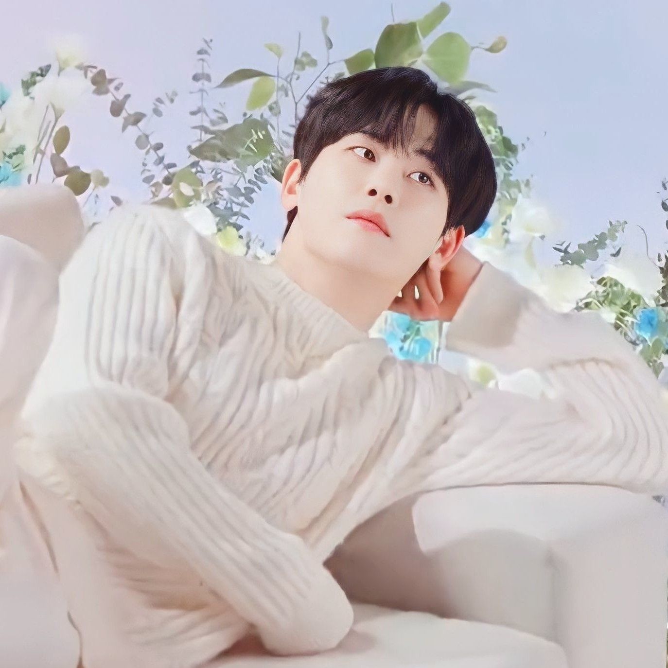 Latest photo of Hoya