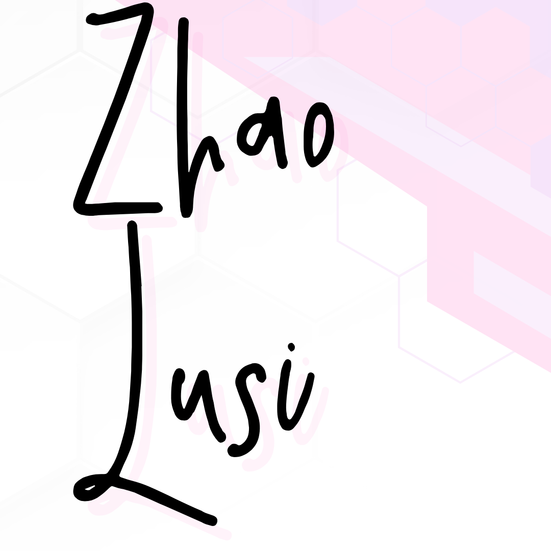 A moment captured by a fan of Zhao Lusi