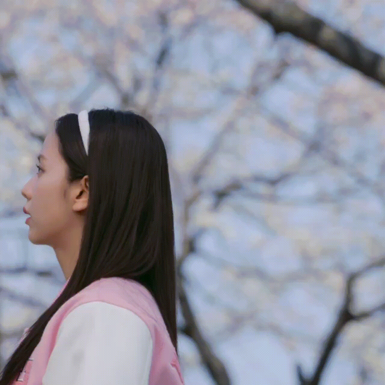 A moment captured by a fan of Jisoo (1995)